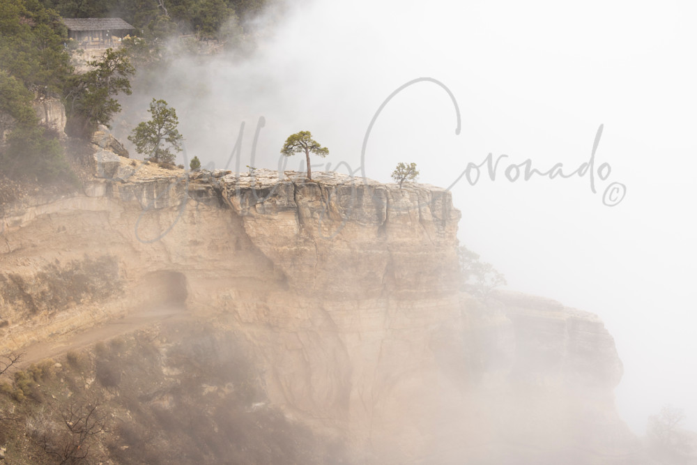 Canyon Mist Art | GalleryCoronado