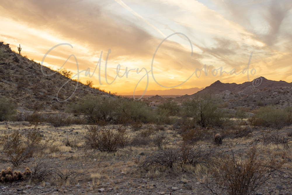 Sunset Over Desert Art | GalleryCoronado