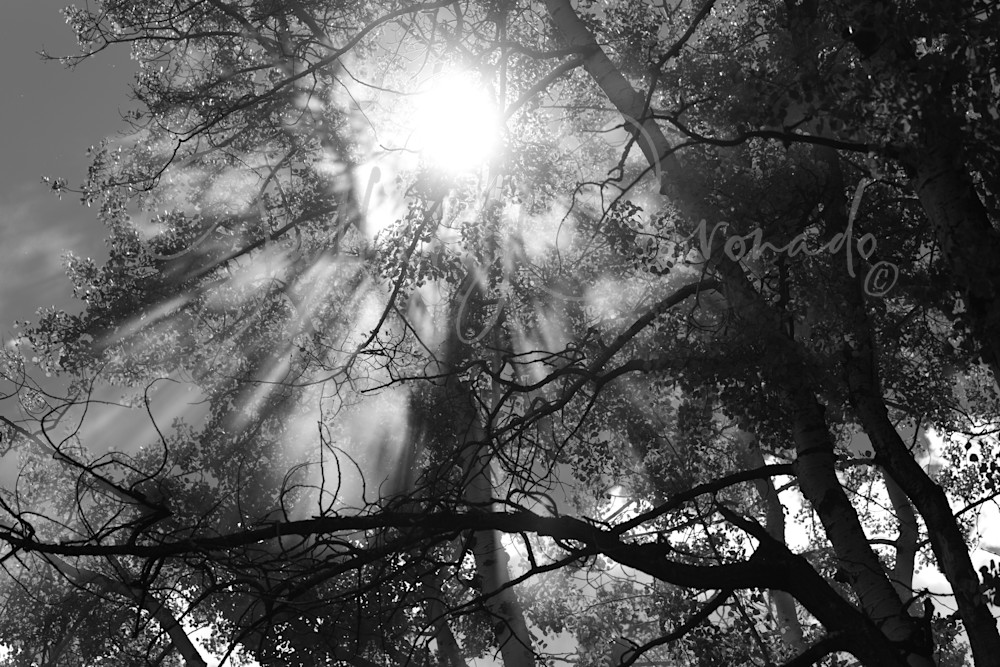 Angel Rays