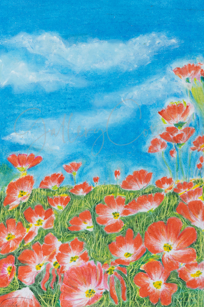 Poppies Art | GalleryCoronado