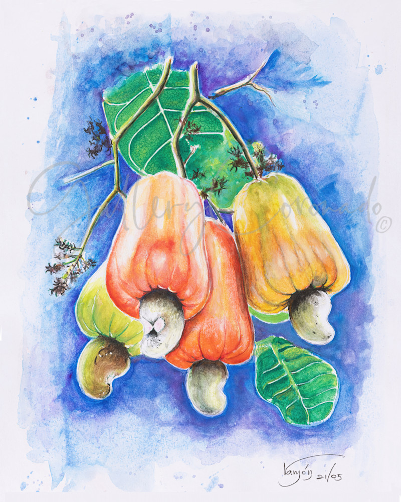 Cashews Art | GalleryCoronado