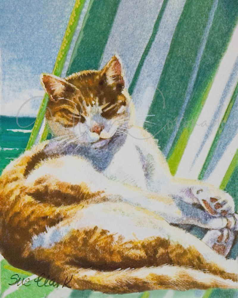 Beach Boy16x20 AI 4269 Art | GalleryCoronado