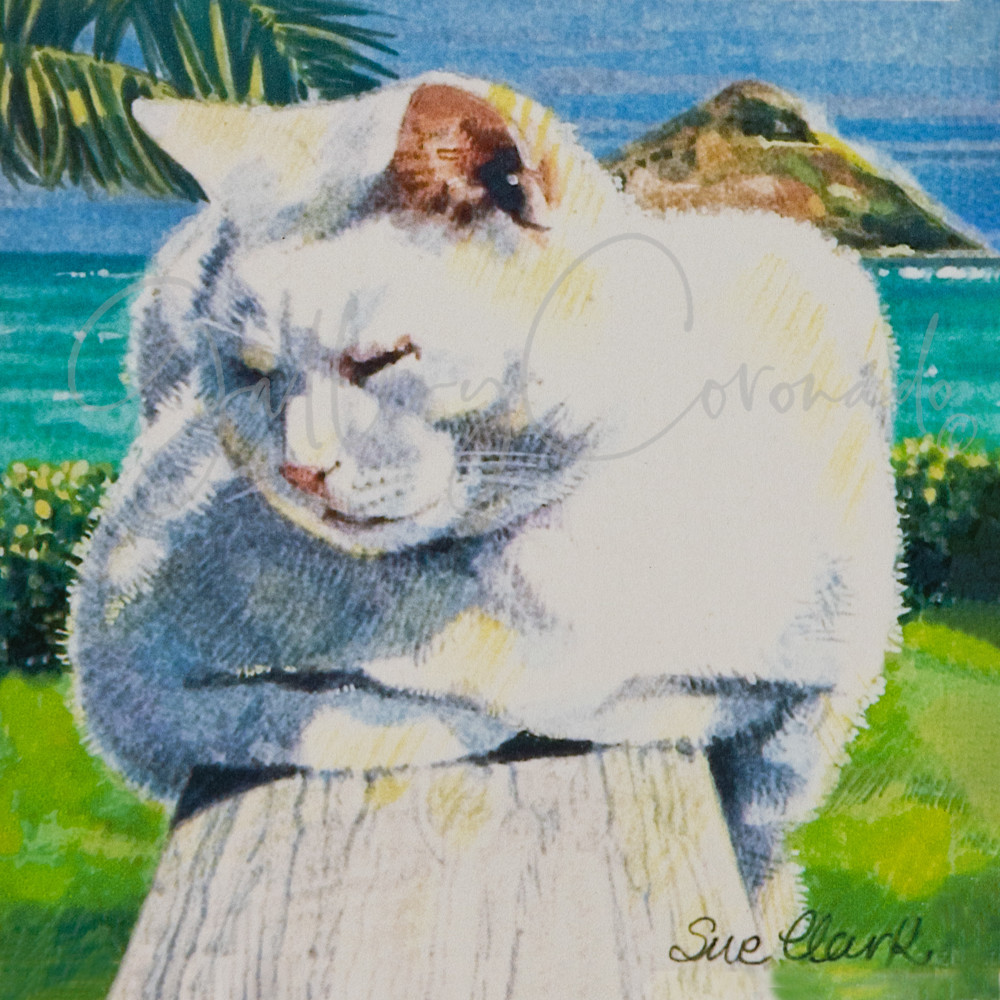 Day In The Sun Art | GalleryCoronado