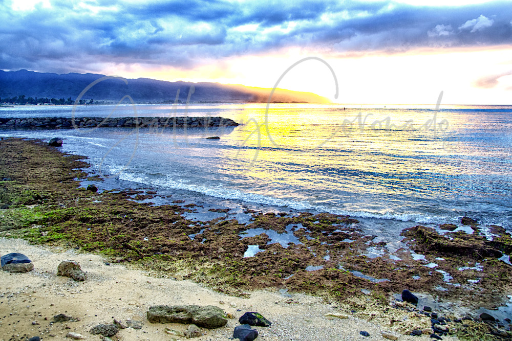 Haleiwa Intense Art | GalleryCoronado