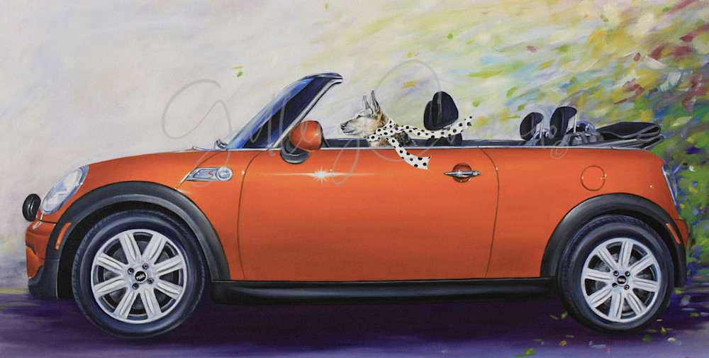 April Howland's, Motor On, Dog driving a car, Fine art, print