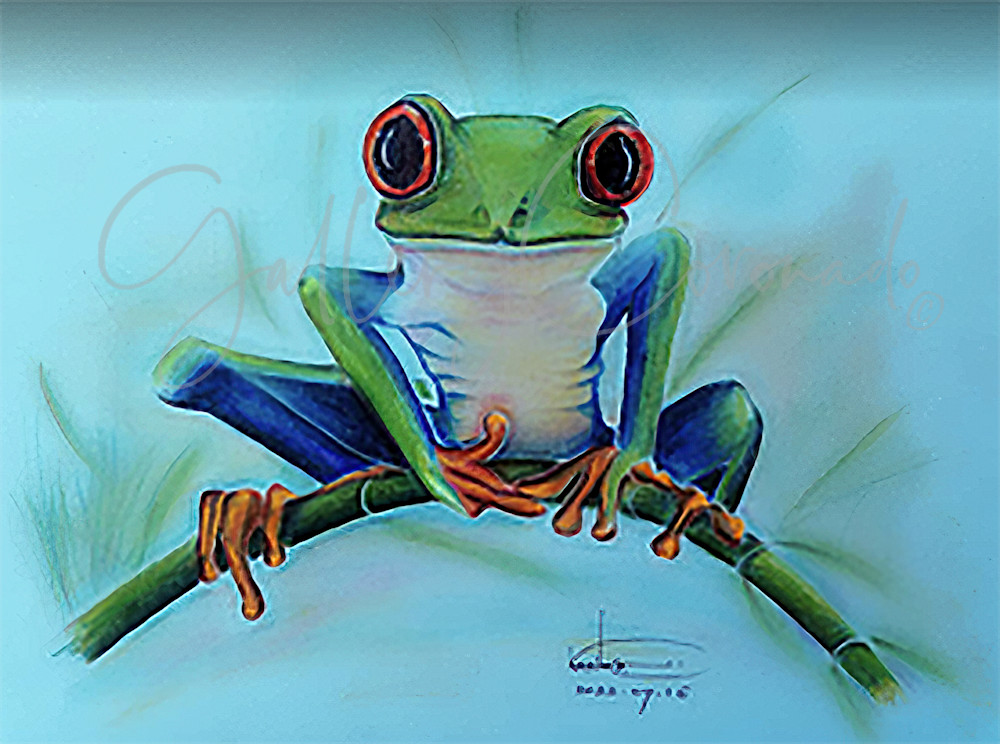 Frog Spirit Animal Art | GalleryCoronado