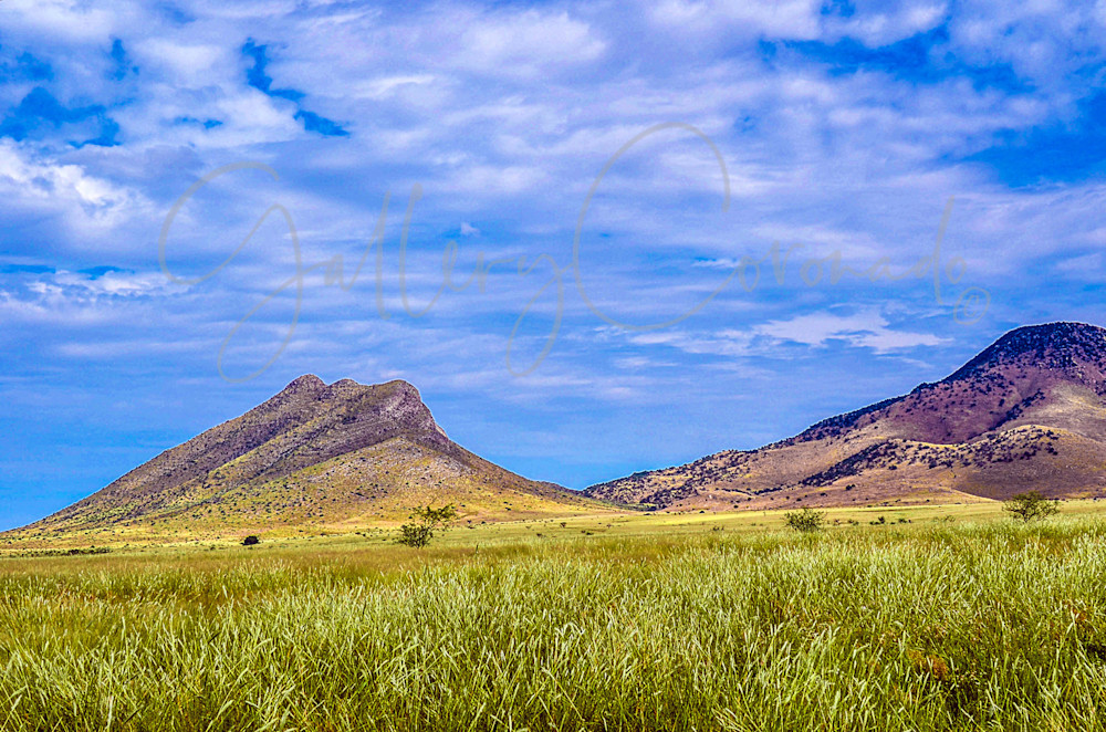 Oak Creek Canyon P Art | GalleryCoronado