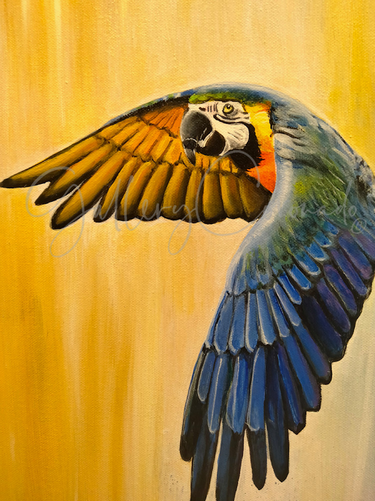 Andy's Flash Dance, a painting of a colorful parrot, fine art, print