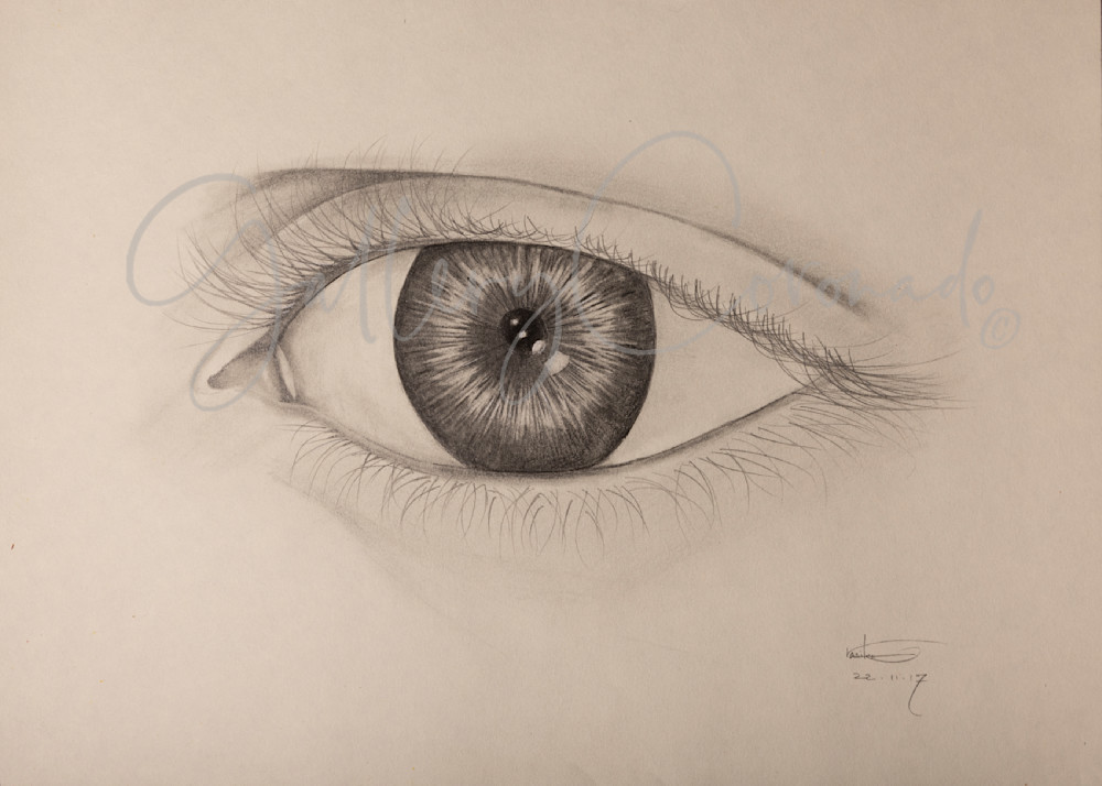 Eye 8375 Crop P 30x20 Art | GalleryCoronado