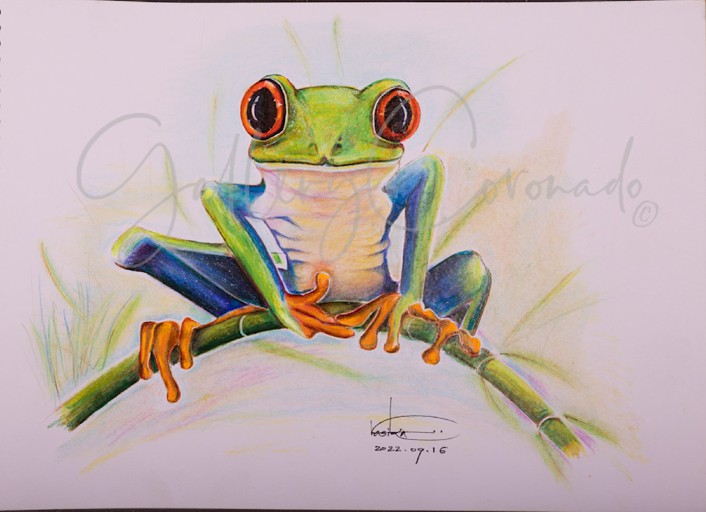 Frog 8386 Crop P 30x20 Art | GalleryCoronado