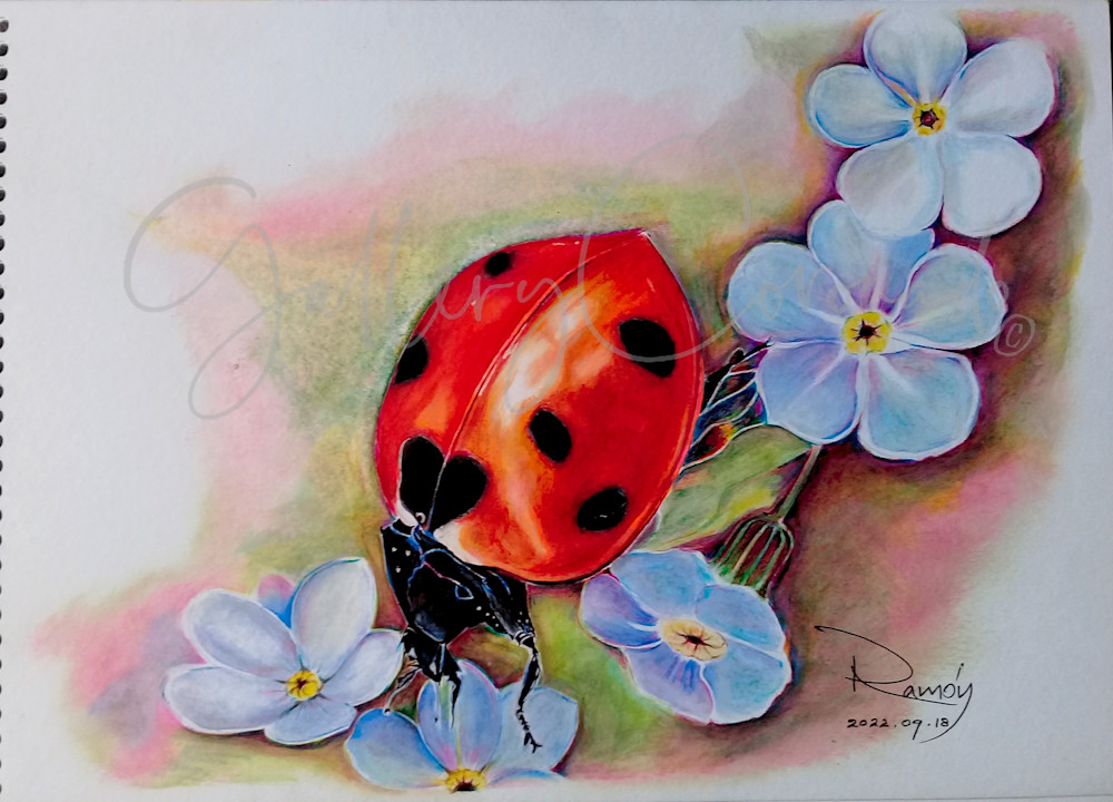 Ladybug P Art | GalleryCoronado
