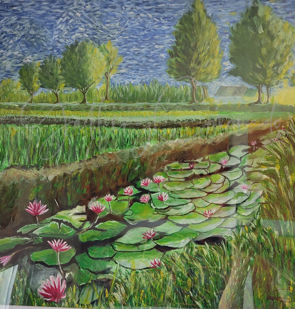 Water Lilly P Art | GalleryCoronado