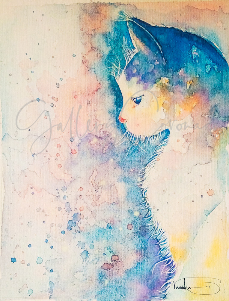 Water Kitty Art | GalleryCoronado