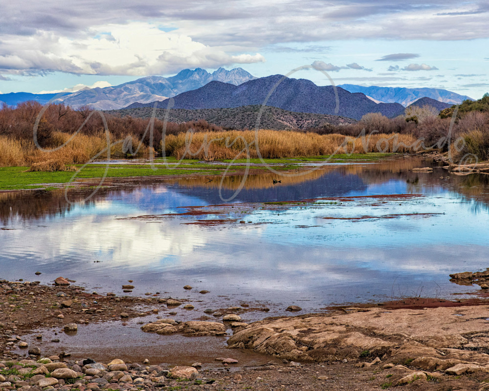 Salt River Reflections 30x40 Yg Art | GalleryCoronado
