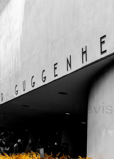 Guggenheim Photography Art | Becky Davis