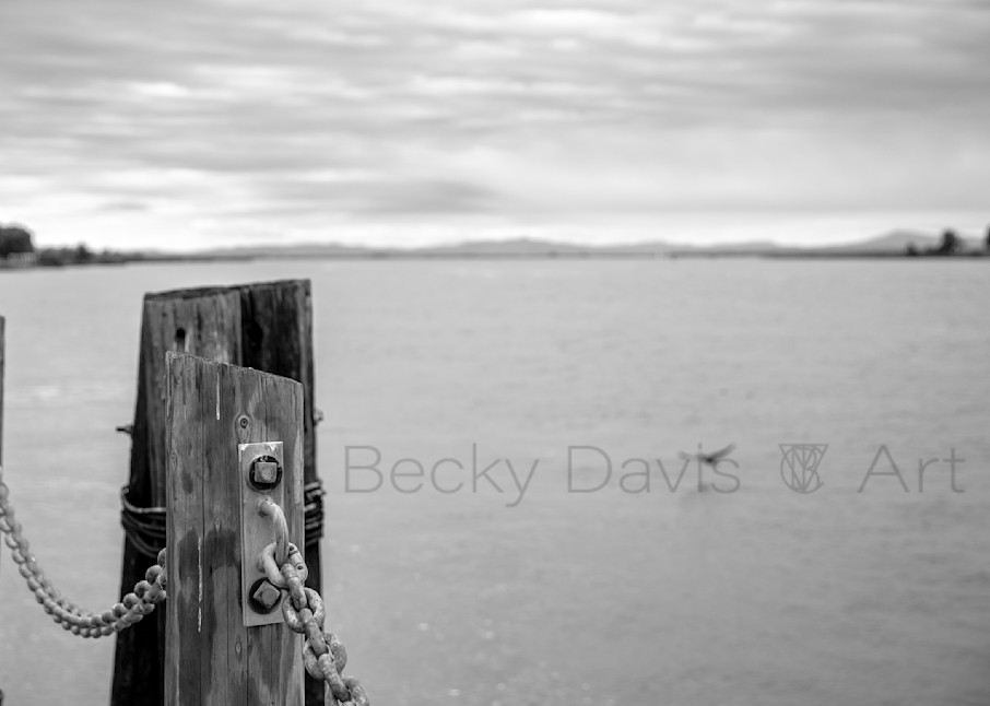 Pier On The Bay Photography Art | Becky Davis