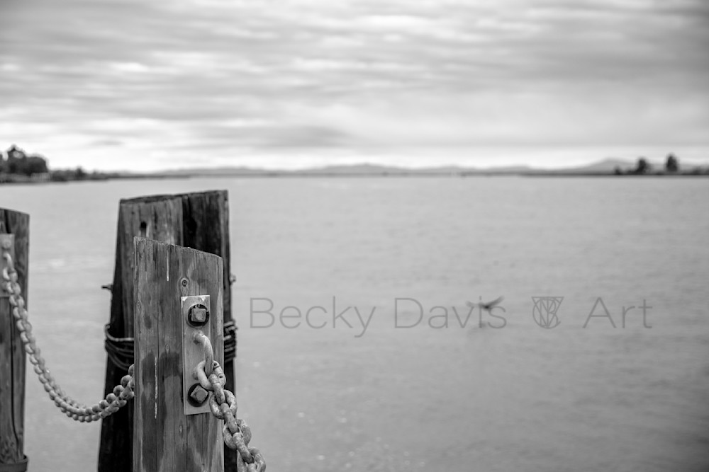 Pier On The Bay Photography Art | Becky Davis