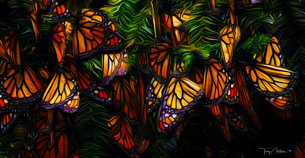 Sleeping Beauties Art | Fiovida Studio & Art Gallery