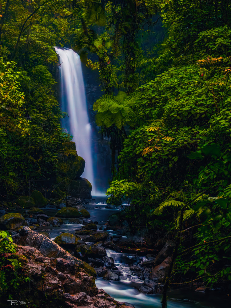 Master La Paz Waterfall Art | Fiovida Studio & Art Gallery