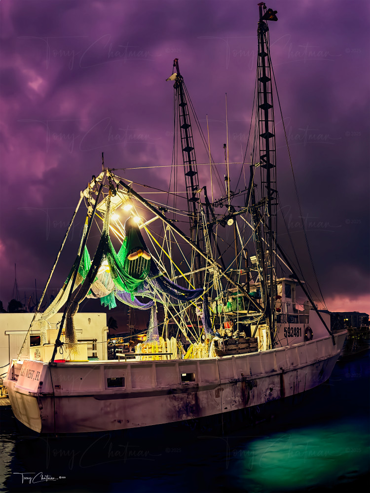 Miss Key West Art | Fiovida Studio & Art Gallery