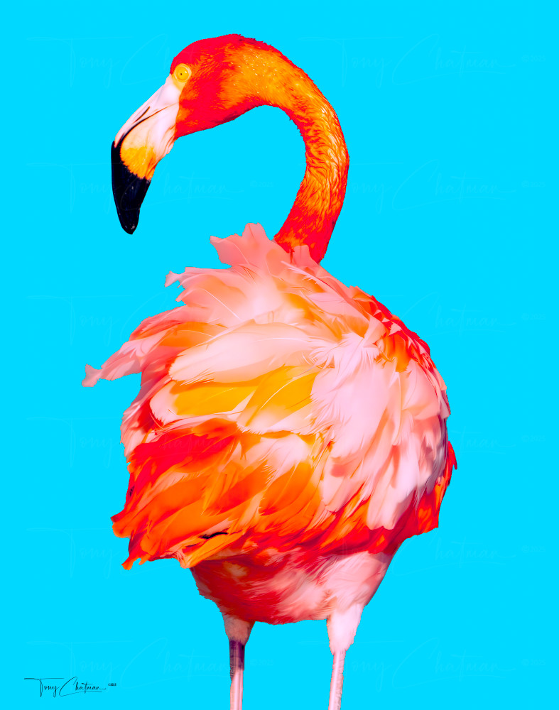 Art Deco Blue Flamingo Art | Fiovida Studio & Art Gallery