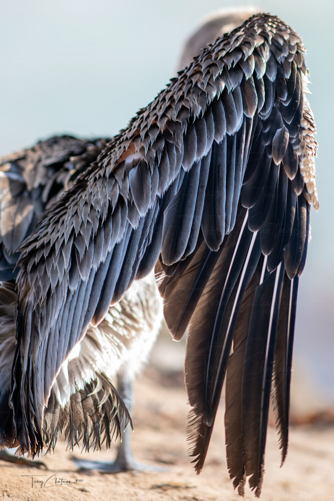 Subtle Beauty Art | Fiovida Studio & Art Gallery