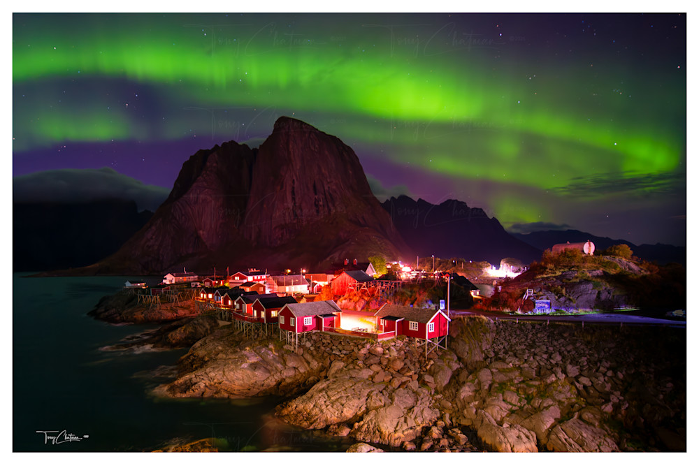 Arctic Vigil Art | Fiovida Studio & Art Gallery