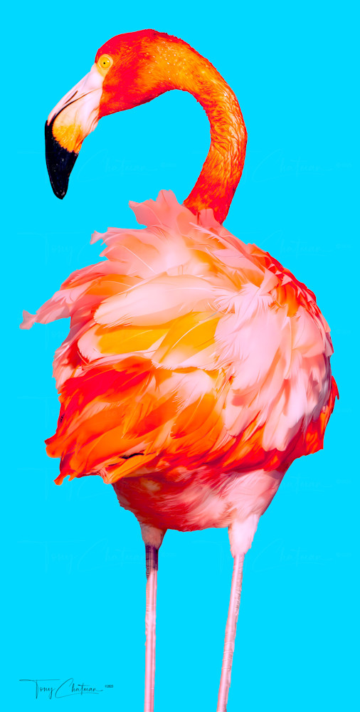 Master Blue Flamingo 18x36 Art | Fiovida Studio & Art Gallery
