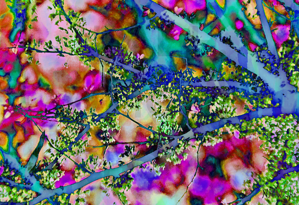 Branches Leaves Color Tree