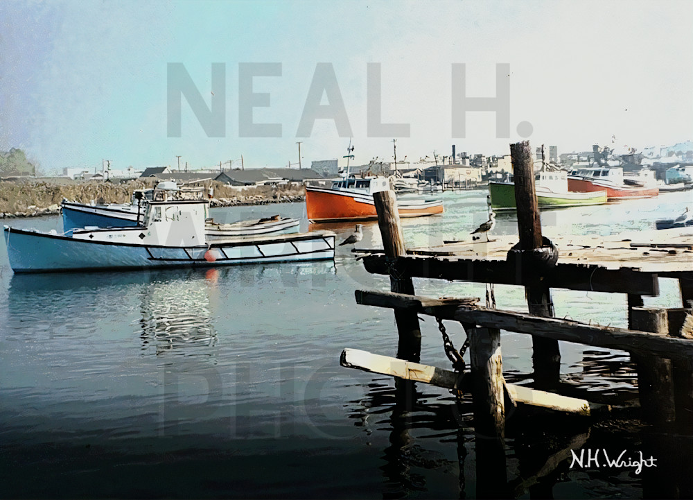 Anchored Ballard Street Harbor Color Fish Boats