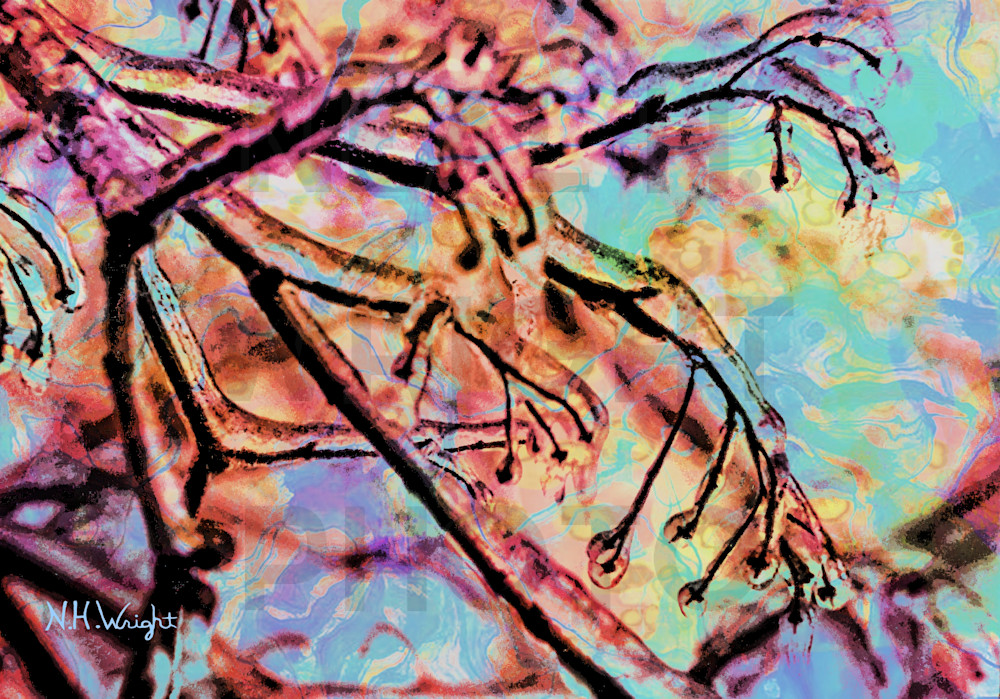 B20 S23 Large Icycle Branch Buds Photography Art | NAS Ventures dba as Neal Wright Photography