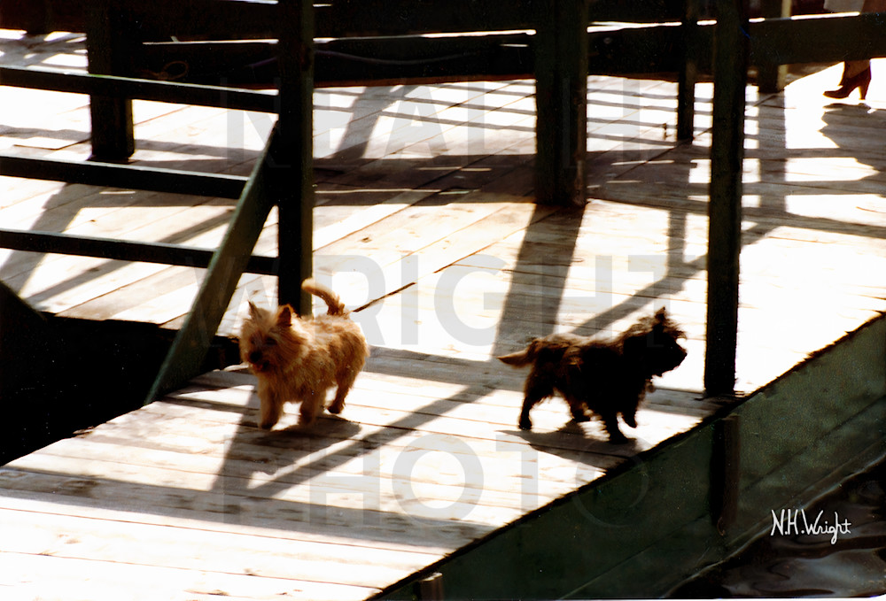 "Boardwalk Intrigue" by Neal H. Wright 