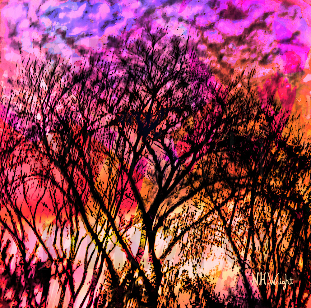 Dancing Heart Trees in Magenta and Red