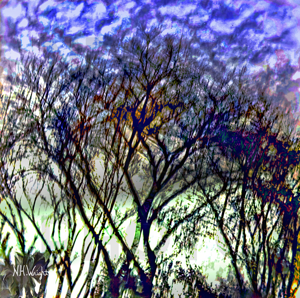 Wind Dancing Heart Trees