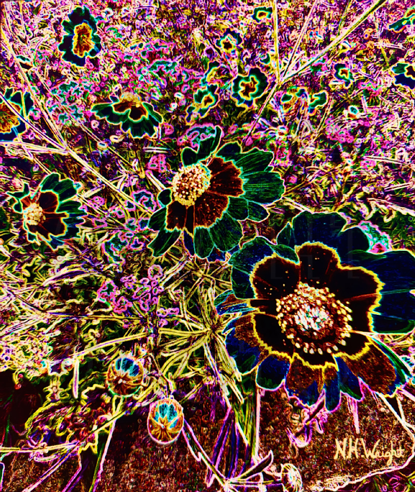 "Alice's Garden of Solarized Flowers"