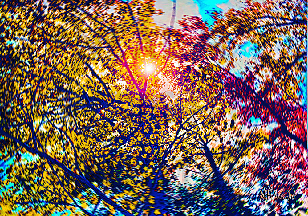 "Twisted Sunlit Fall Foliage in a Radical Blur"