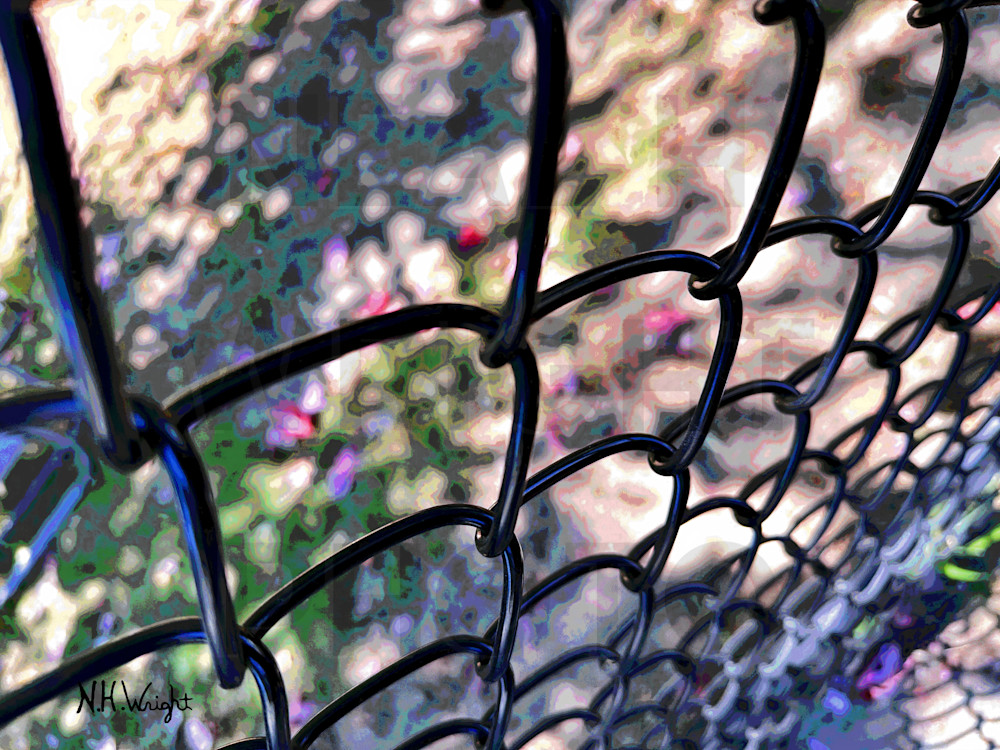 Fence framed tree shadows and Hues