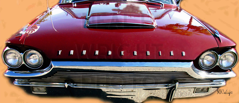 Reflections of a Red Thunderbird" 