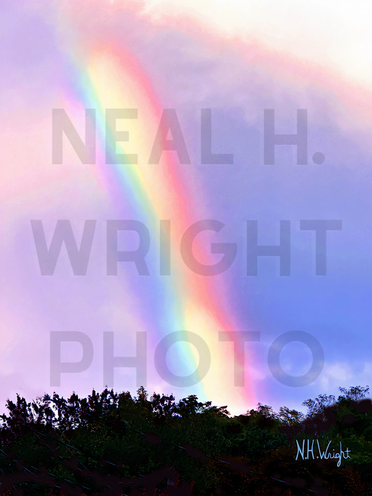 "Rainbow Over The Tree's" 