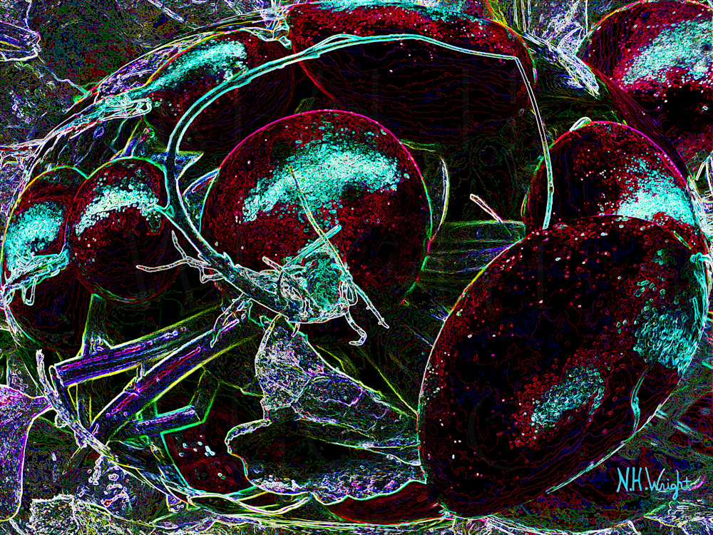 "Solarized Radishes" 