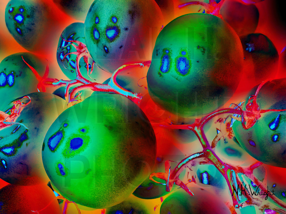 "Spooky Tomatoes Incognito"