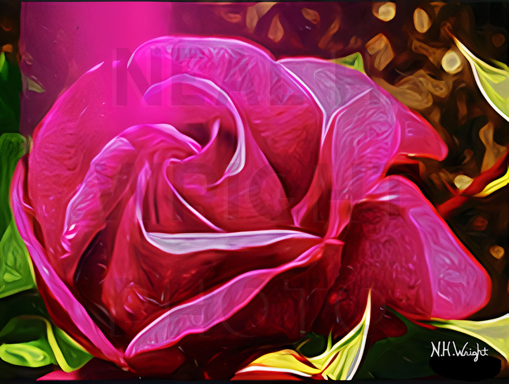"Perfectly Swirly Red Rose"