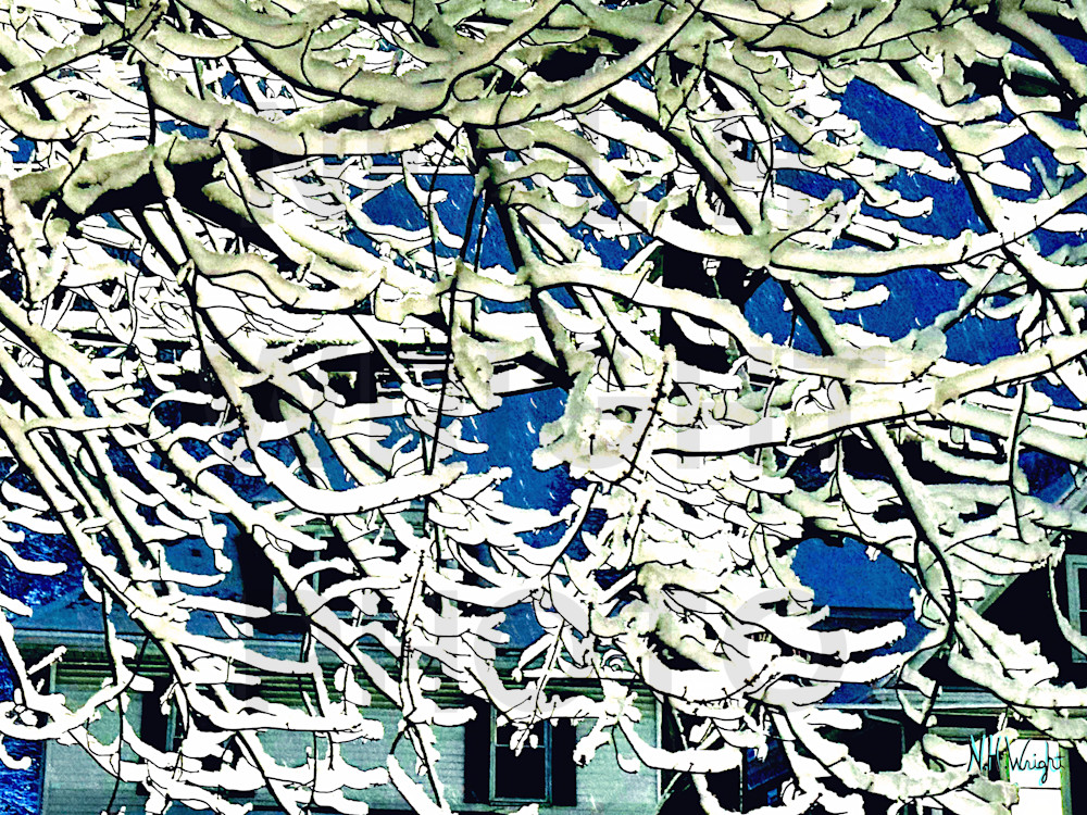Blue Sky Snow Branches