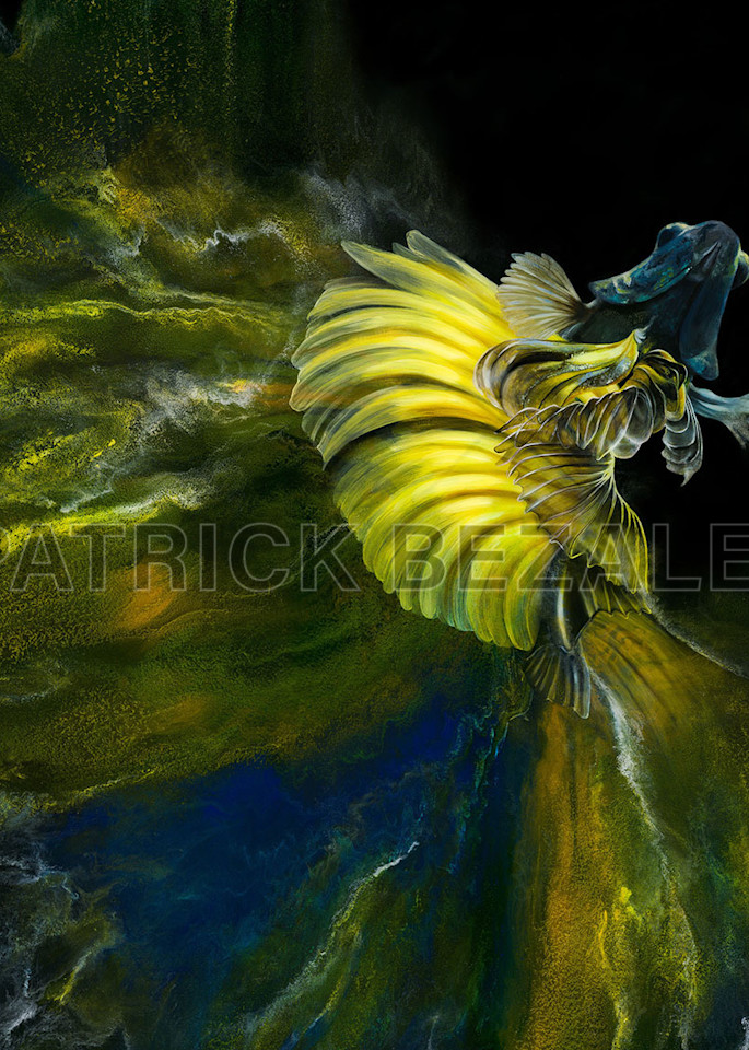 Betta Fish Yellow Blue (Diasec™ Print)  Art | Patrick Bezalel Pte Ltd