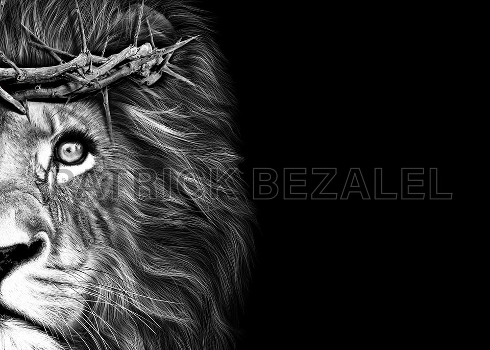 picture Realistic Lion With Crown Of Thorns own limited edition hand drawn art crown of thorns lion patrick bezalel fine artist