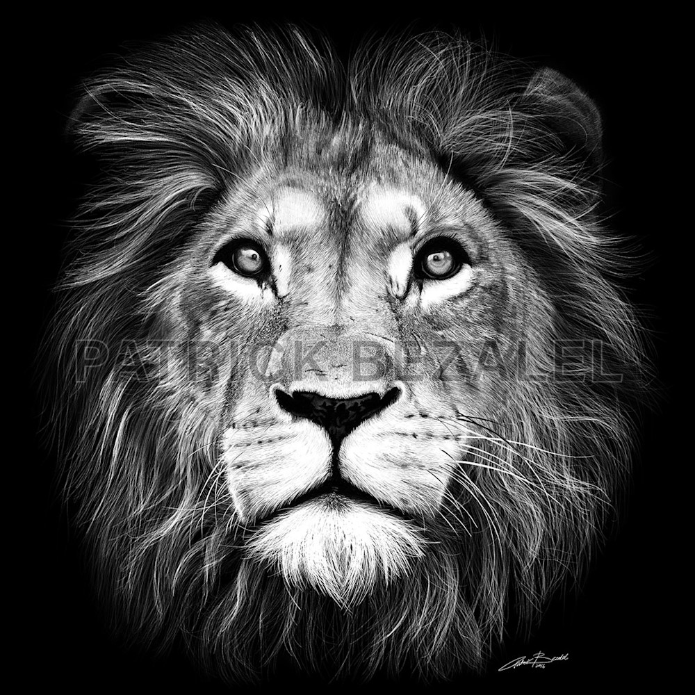 Own Limited Edition Hand-drawn Art Lion of Judah | Patrick Bezalel Fine Artist