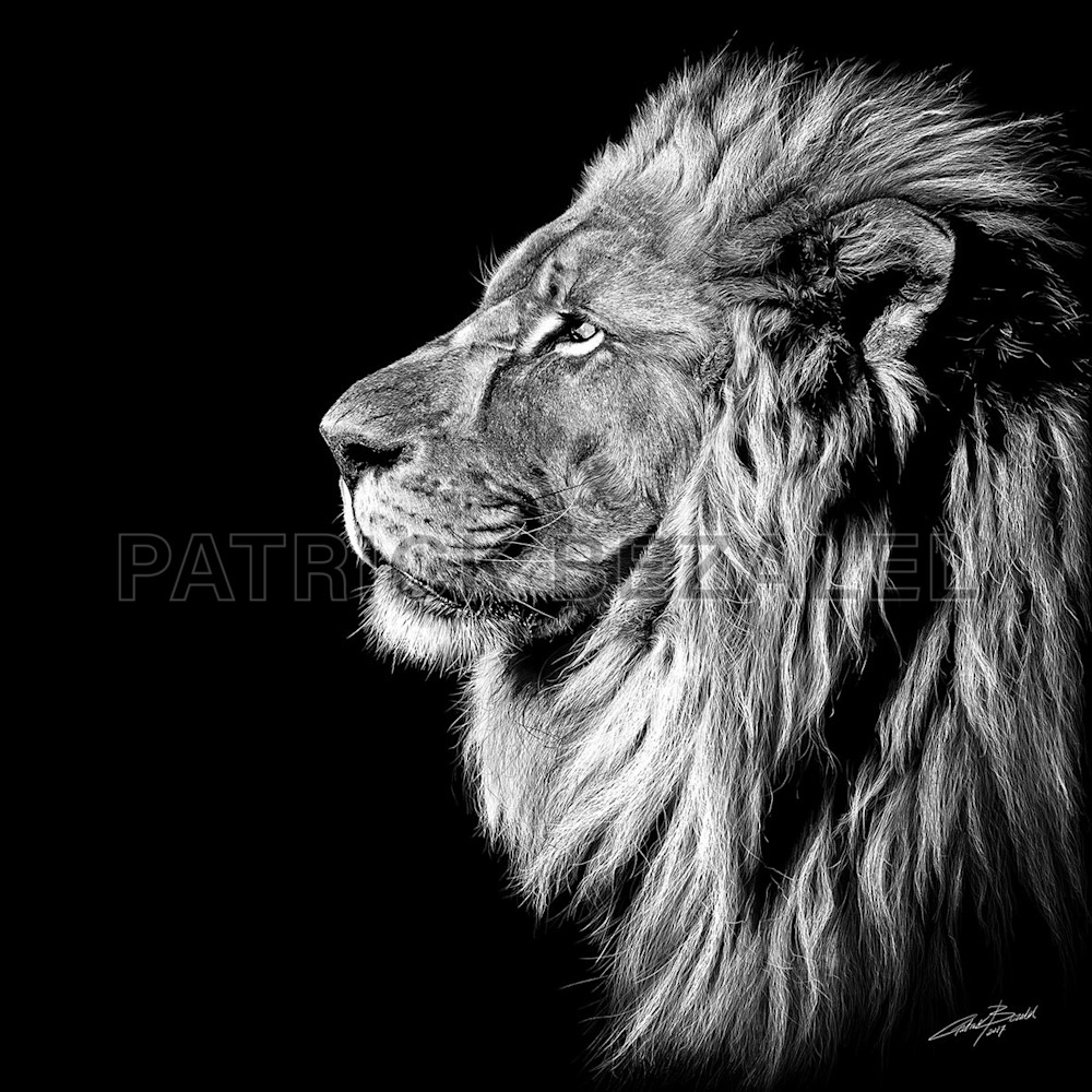 Own Limited Edition Hand-drawn Art King of Kings | Patrick Bezalel Fine Artist