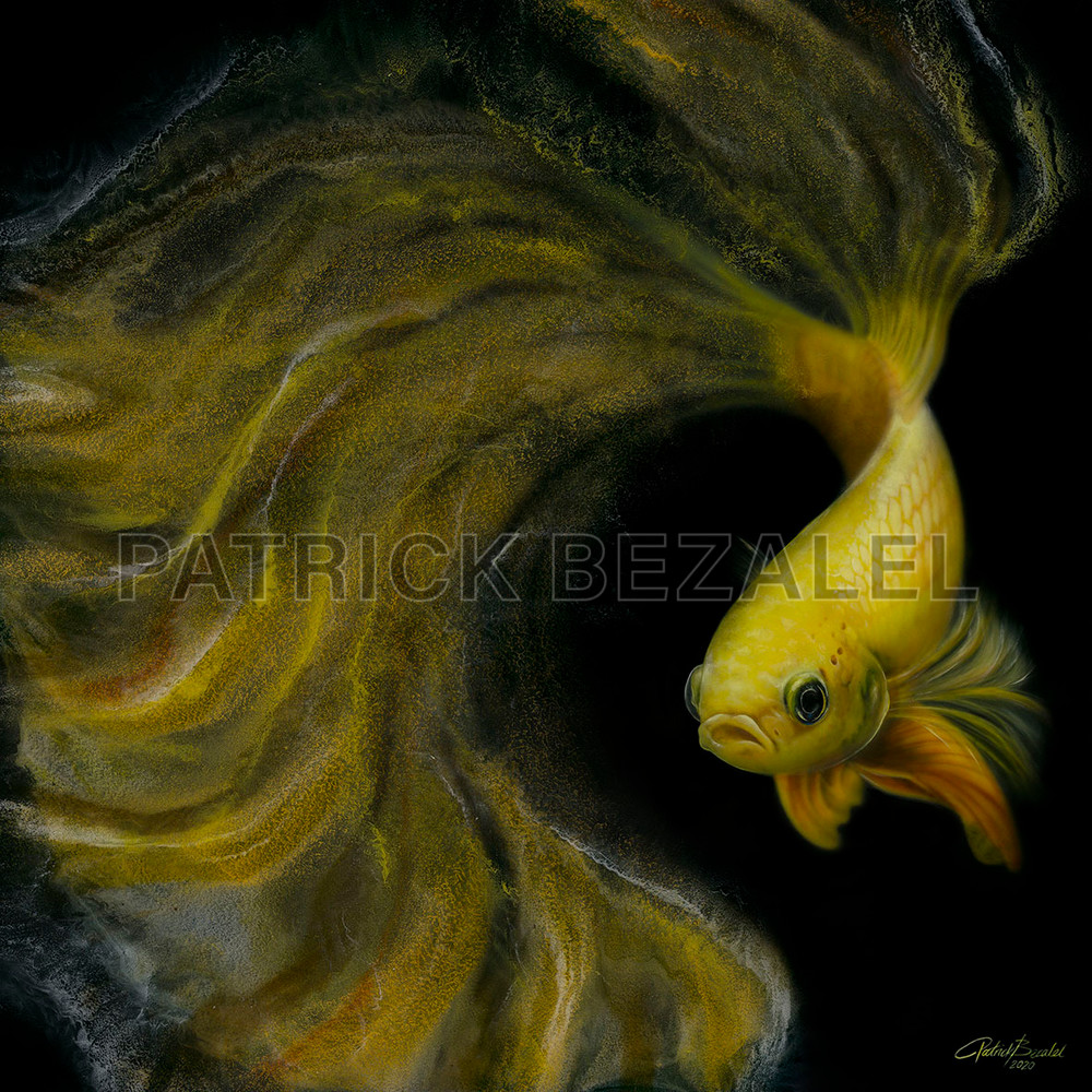 Betta Fish Yellow (Diasec™ Print)  Art | Patrick Bezalel Pte Ltd