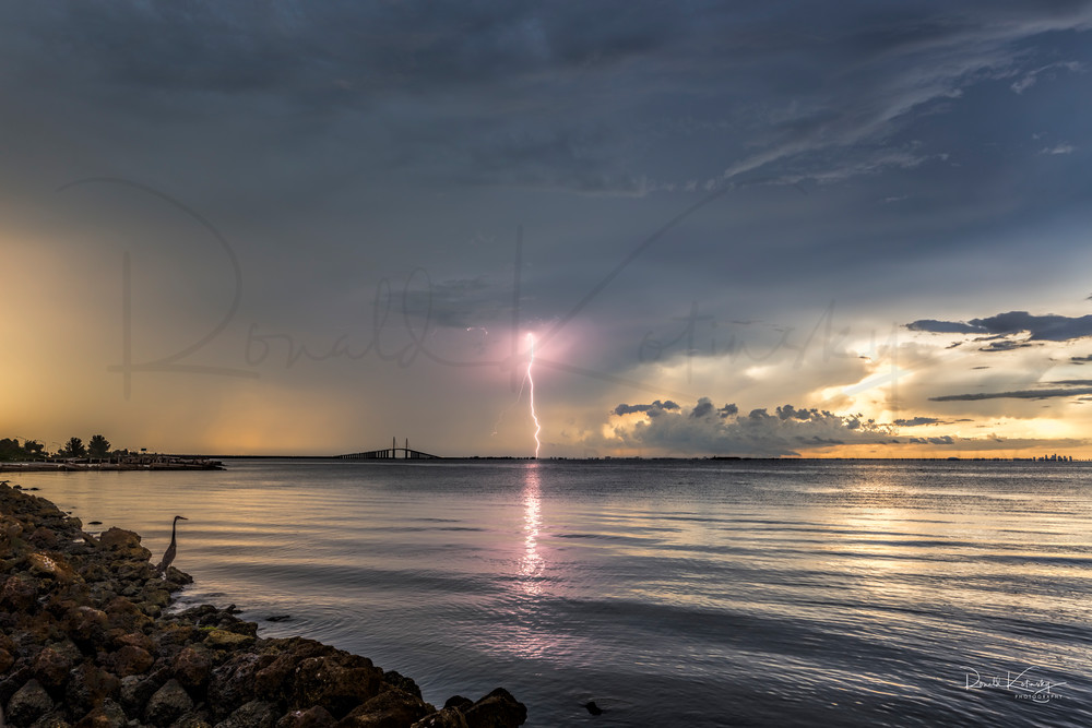  The Skyway, The Lightning and The Heron  Fine Art Photograph