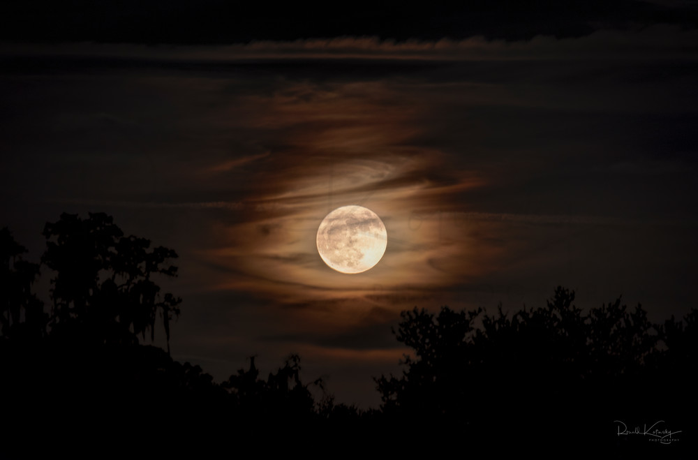 Hunter's October Moon Fine Art Photograph